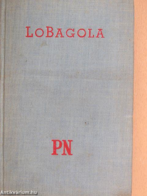Egy afrikai vadember önéletrajza
