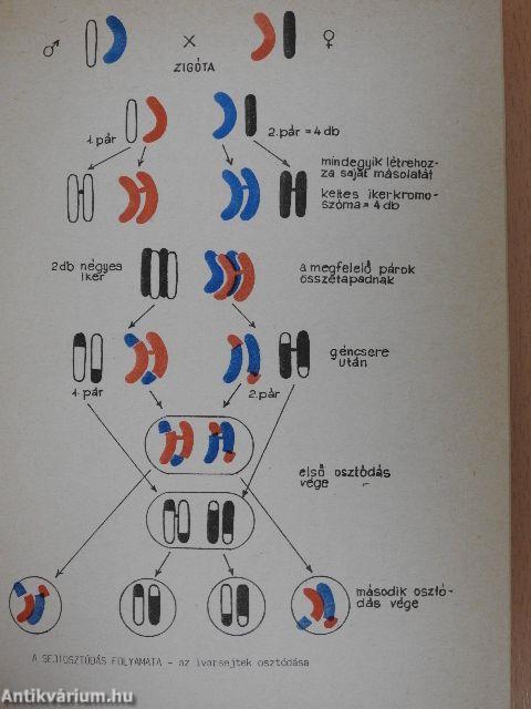 Biológia 8.