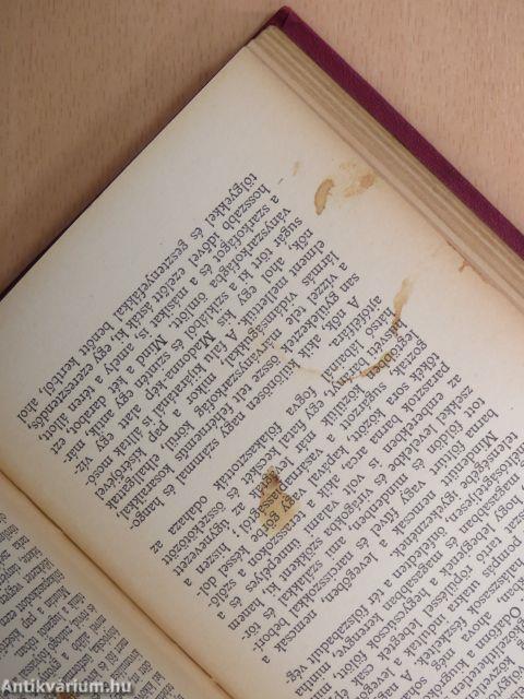 Thiel Pályaőr/A soanai eretnek