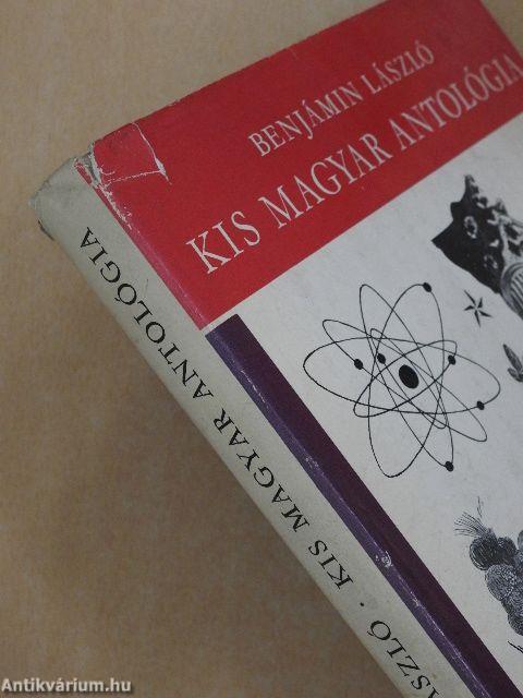 Kis magyar antológia