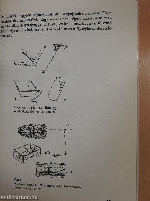 A közeli tengerek élővilága