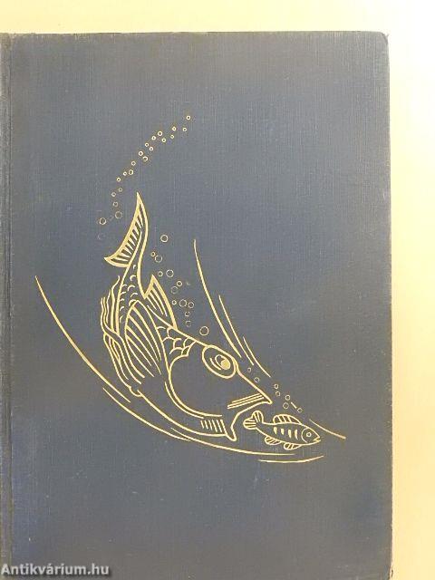 Az élet csodái III. (töredék)