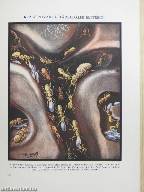 Az élet csodái III. (töredék)