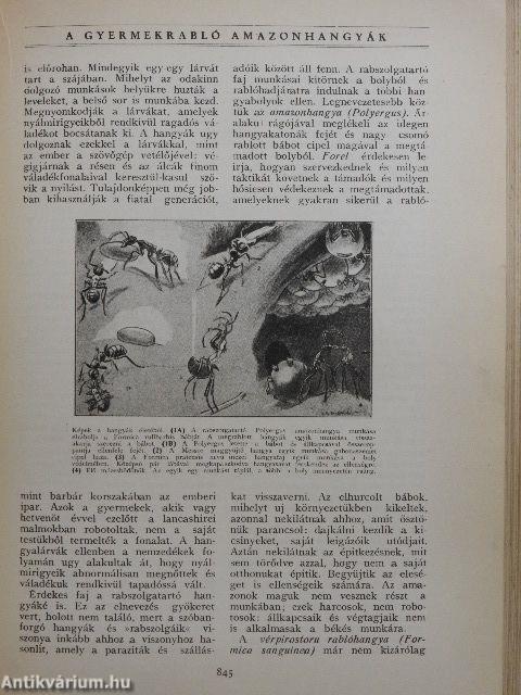 Az élet csodái III. (töredék)