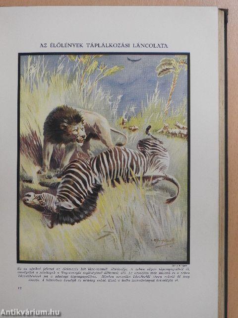 Az élet csodái III. (töredék)