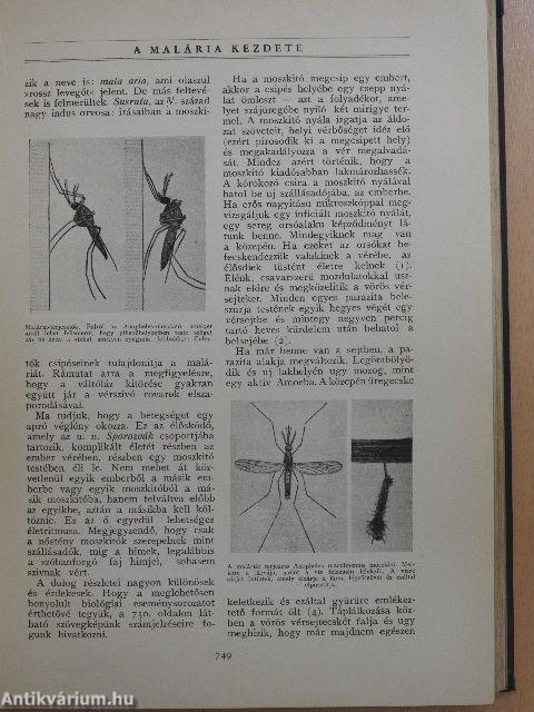 Az élet csodái III. (töredék)