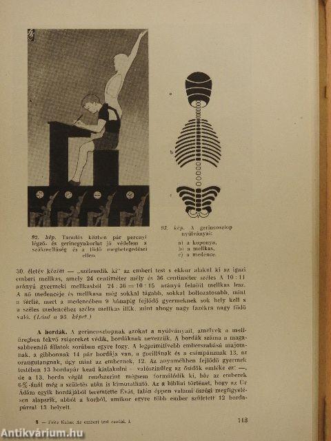 Az emberi test csodái I. (töredék)