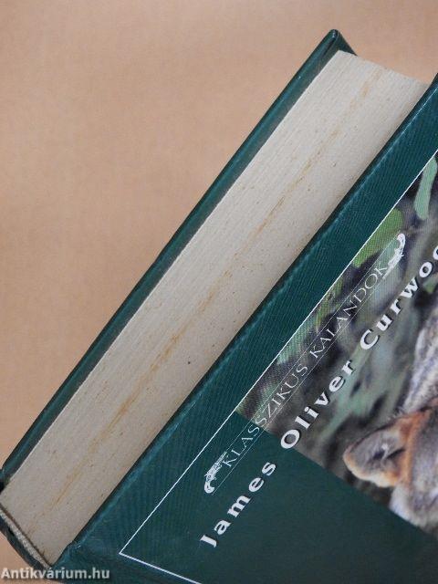 Fürge Villám/Níva, a medvebocs