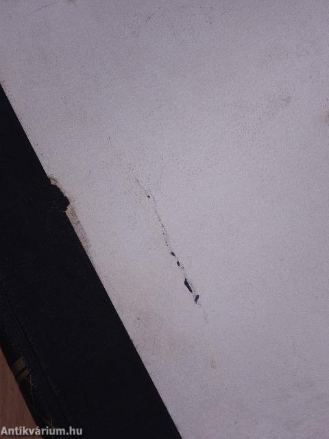 Húsz évszázad viharában