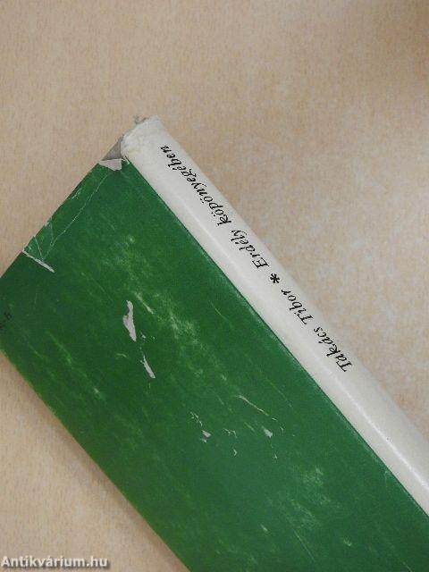 Erdély köpönyegében