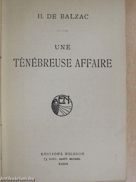 Une ténébreuse affaire