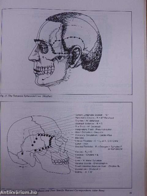 The Micro-Acupuncture Systems Book III