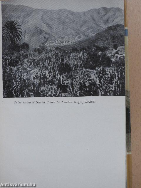 Egy francia orvosnő Jemenben