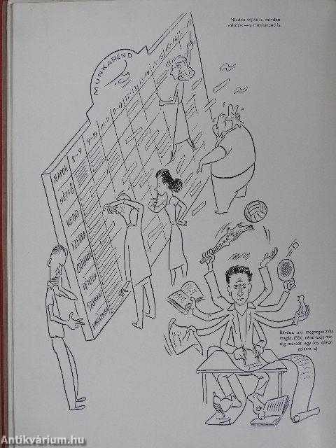 Pártfőiskolai éveink