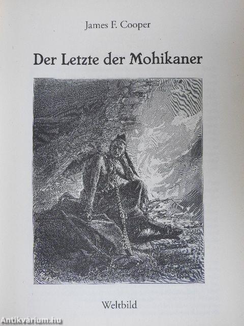 Der Letzte der Mohikaner