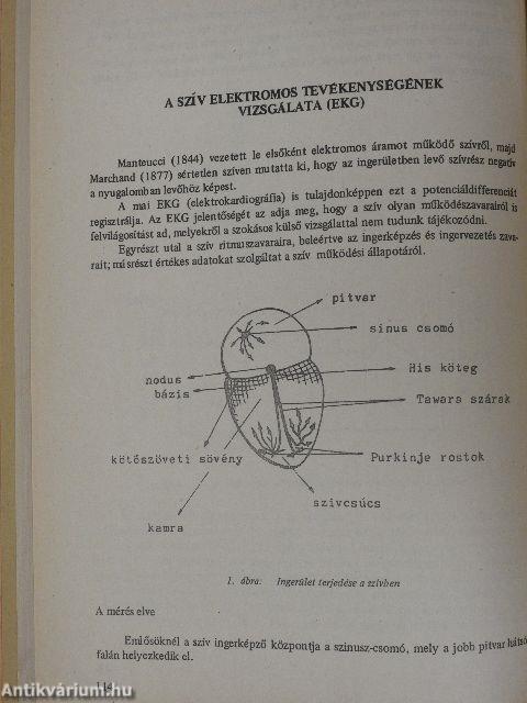 Biofizikai mérések