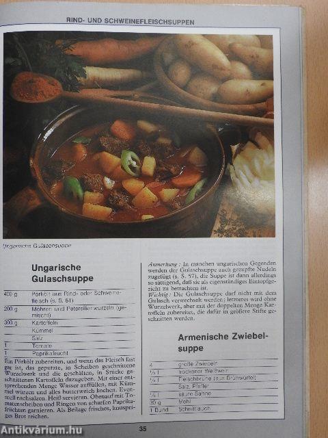 99 Suppen mit 33 Farbfotos