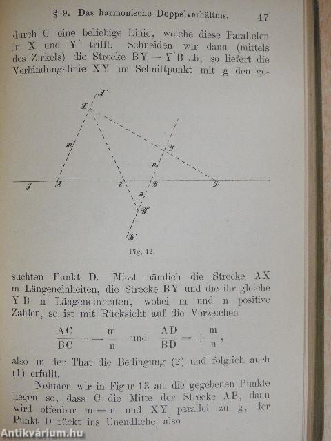 Projektive Geometrie in synthetischer Behandlung