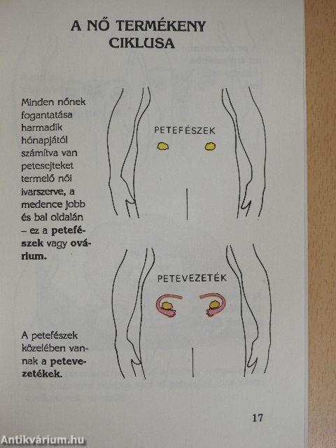 Természetes családtervezés