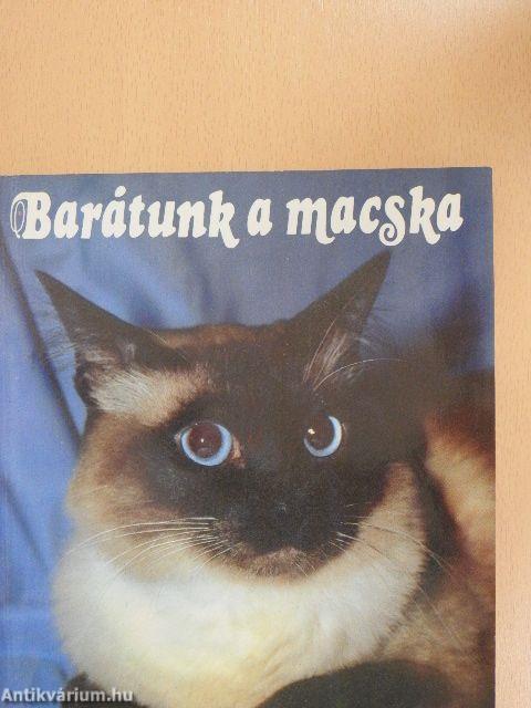 Barátunk a macska