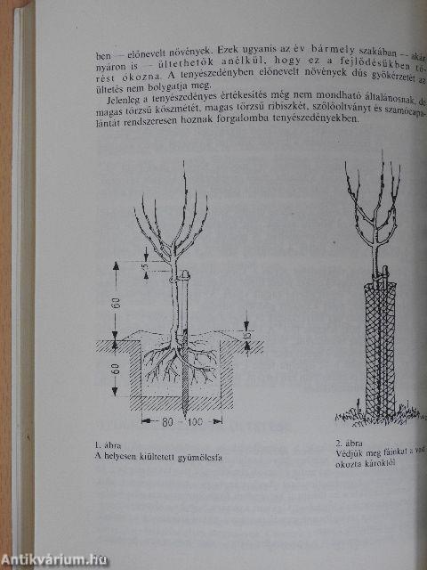 Hasznos tanácsok kertészkedőknek