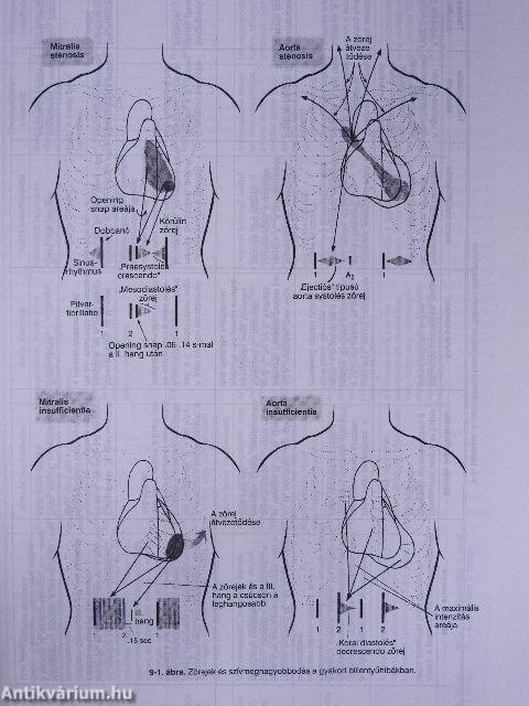 Korszerű orvosi diagnosztika és terápia 1996