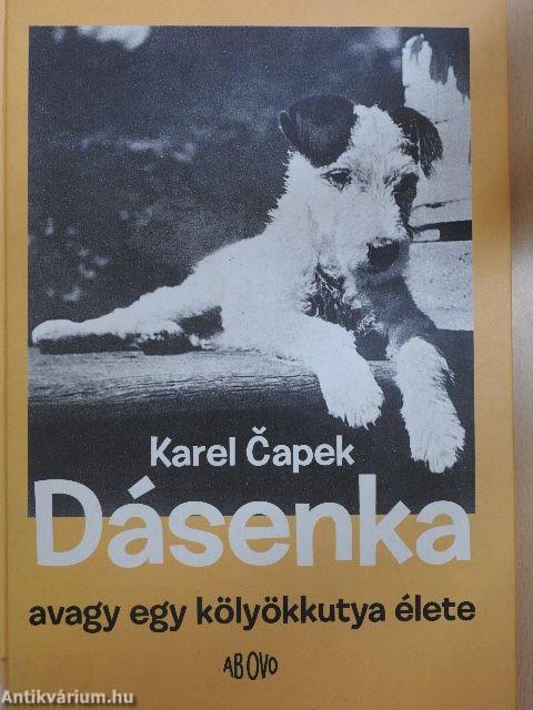 Dásenka