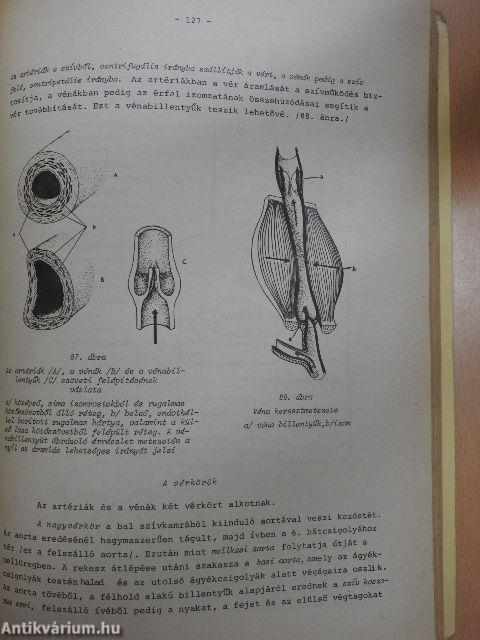 A háziállatok bonc- és élettana