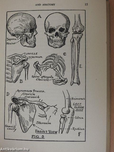 The Right Way to Human Figure Drawing and Anatomy