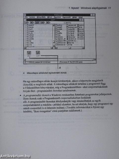 Felhasználói kézikönyv - Microsoft Windows operációs rendszer 3.1-es verzió