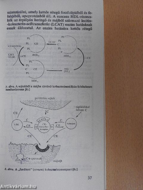 Atherosclerosis