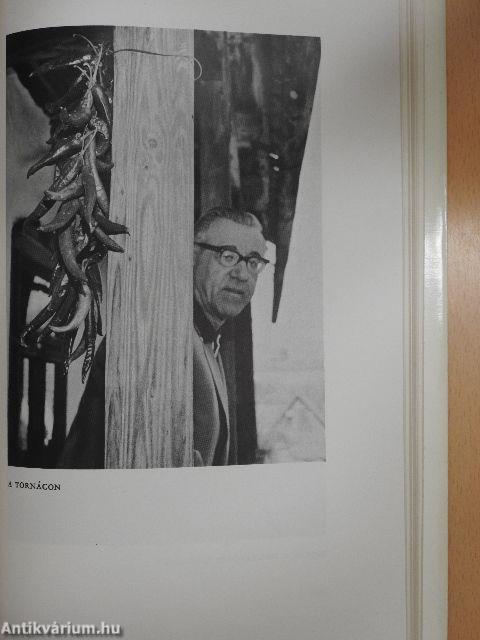 Magyarózdi toronyalja
