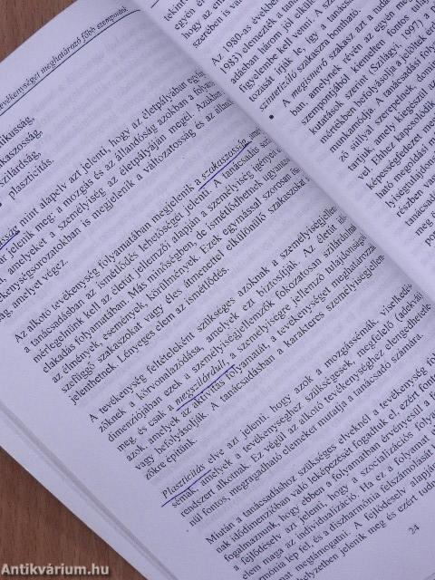 Munka-pályatanácsadás mint professzió