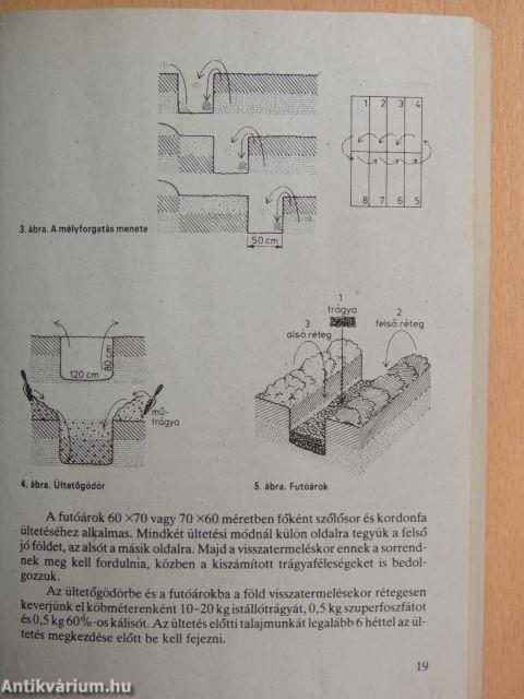 Ősztől őszig a kertbarátoknál