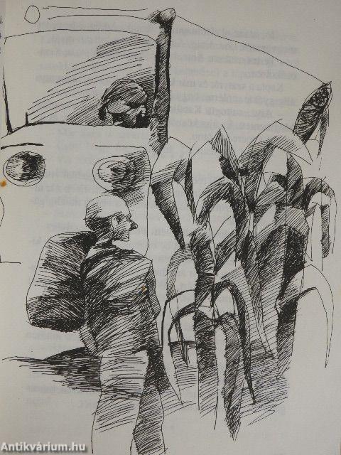 A zöld bőrönd titka