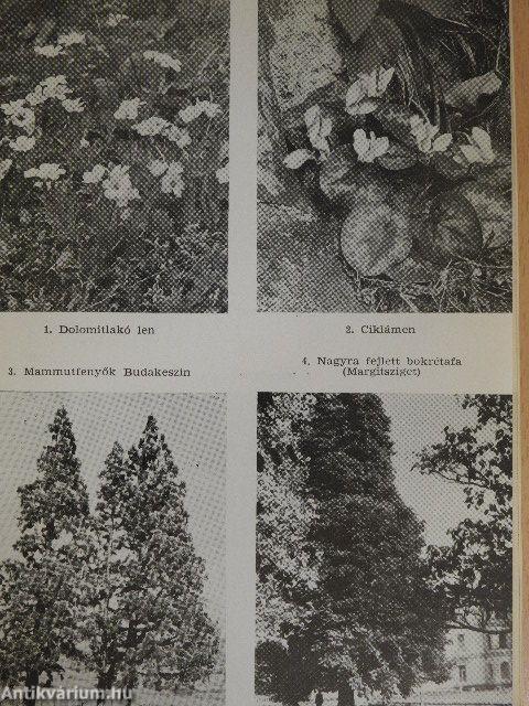 Védett területek, növény- és állatritkaságok