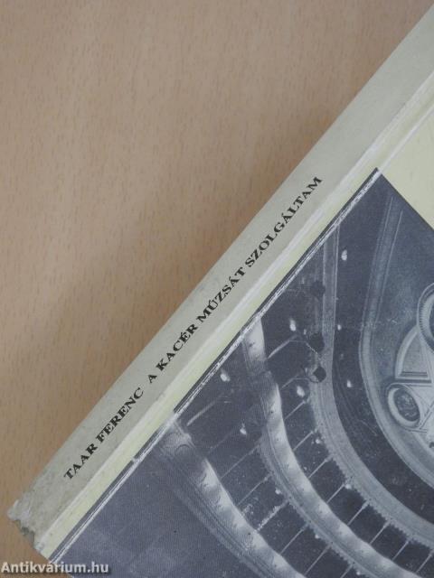 A kacér múzsát szolgáltam (dedikált példány)