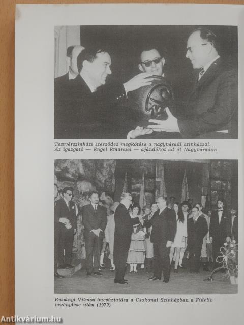 A kacér múzsát szolgáltam (dedikált példány)