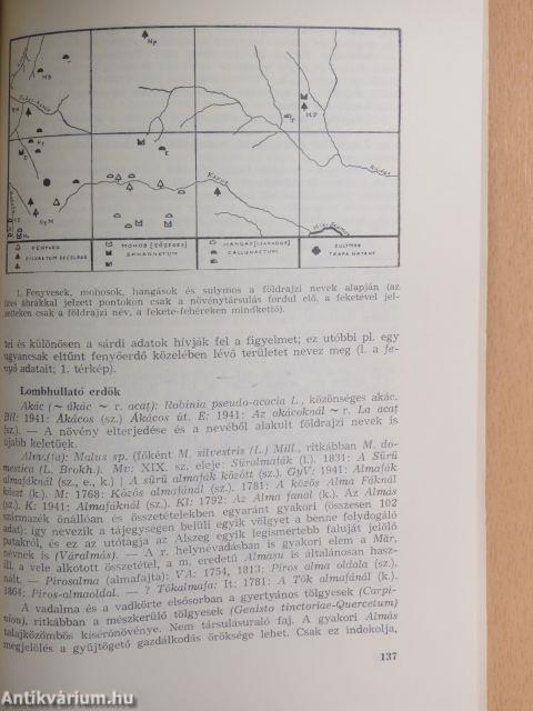 Nyelvészeti tanulmányok 1980