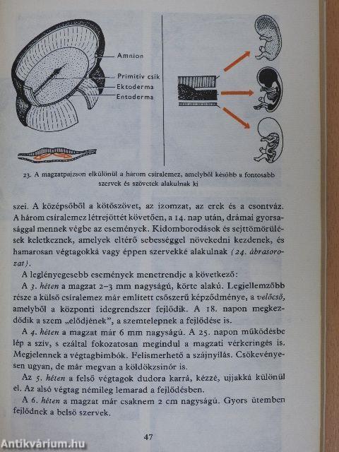 Születésünk titkai