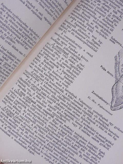 Az ember anatómiája és élettana