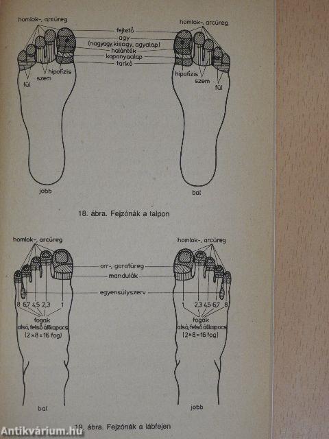 Gyógyító zónák