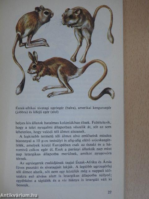 Az állatok téli álma