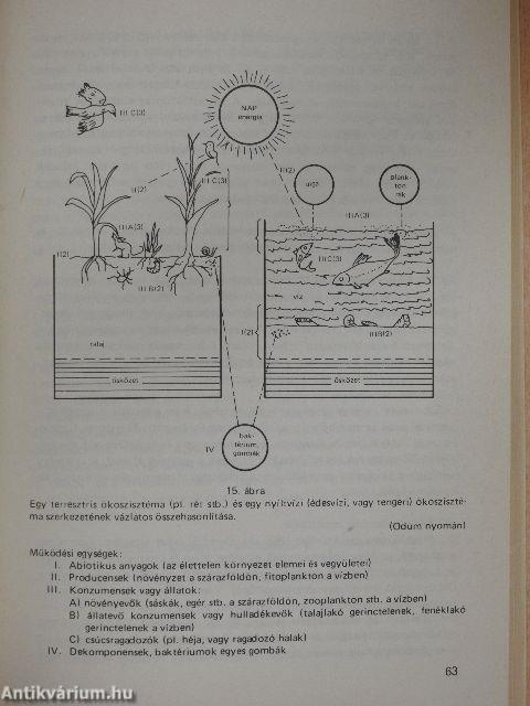 Ökológiai rendező elvek a környezet- és természetvédelemben