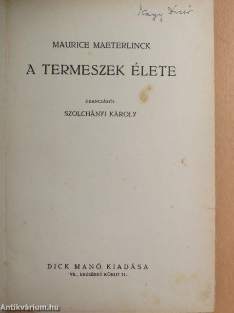 A termeszek élete