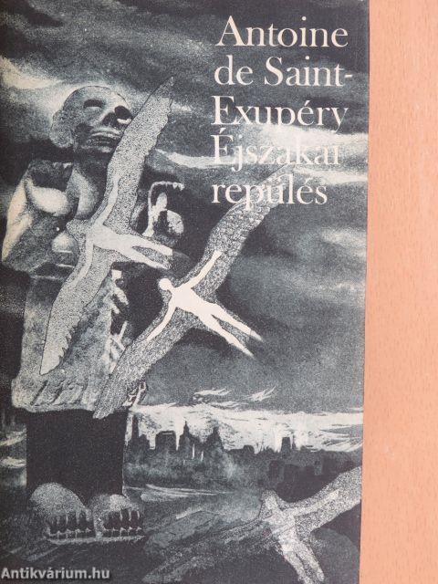 Éjszakai repülés