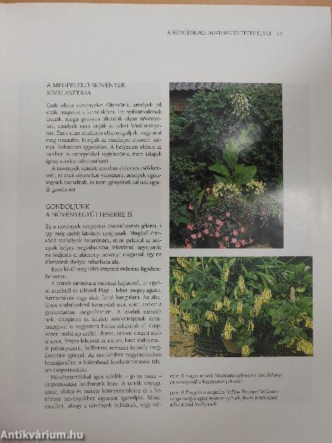 Kert a dézsában, dézsa a kertben