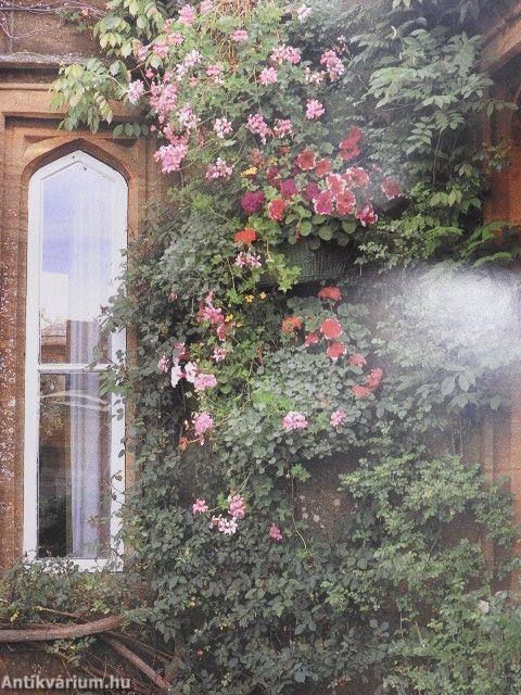 Kert a dézsában, dézsa a kertben