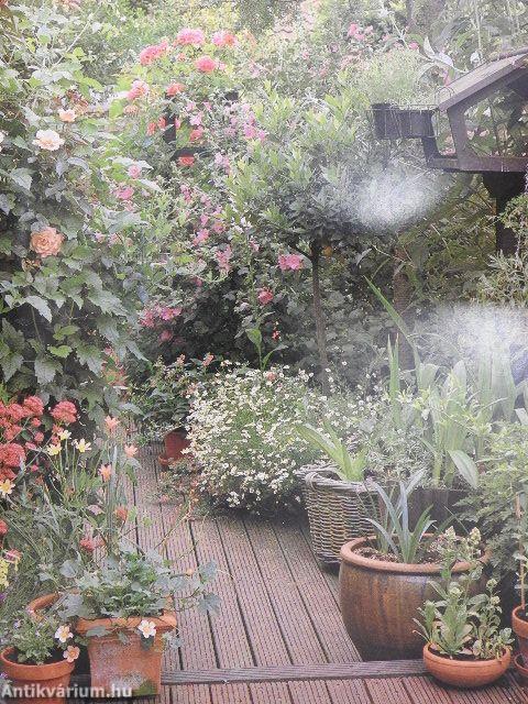 Kert a dézsában, dézsa a kertben