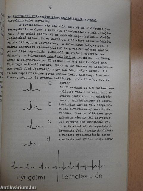 Élettan-kórélettan gyakorlatok